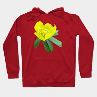 Winter aconite Hoodie